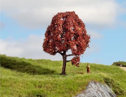 Noch copper beech tree - copper,