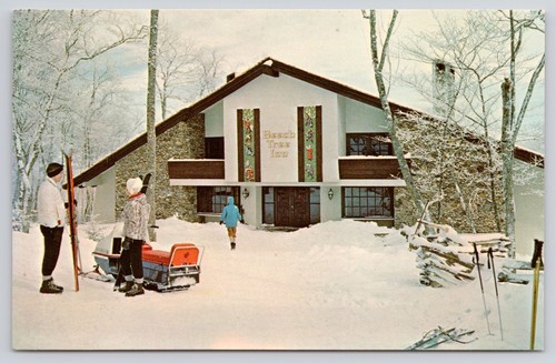 Dexter press postcard beech - dexter,