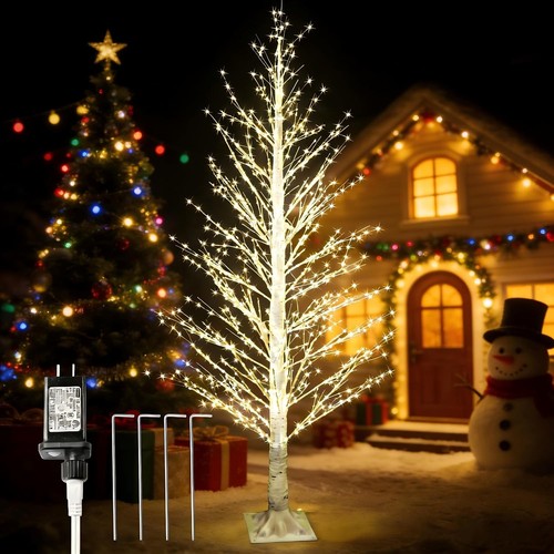 6ft white birch tree - 6ft, with