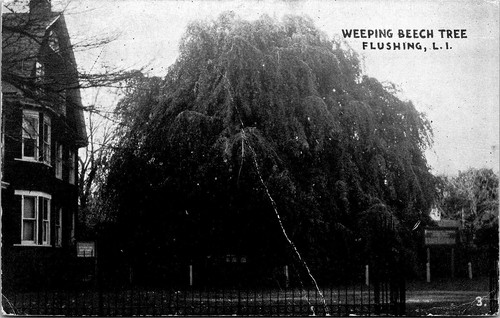 Flushing long island - ny,