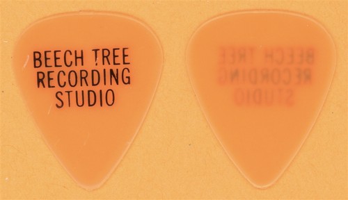 Beech tree recording studio - tree,